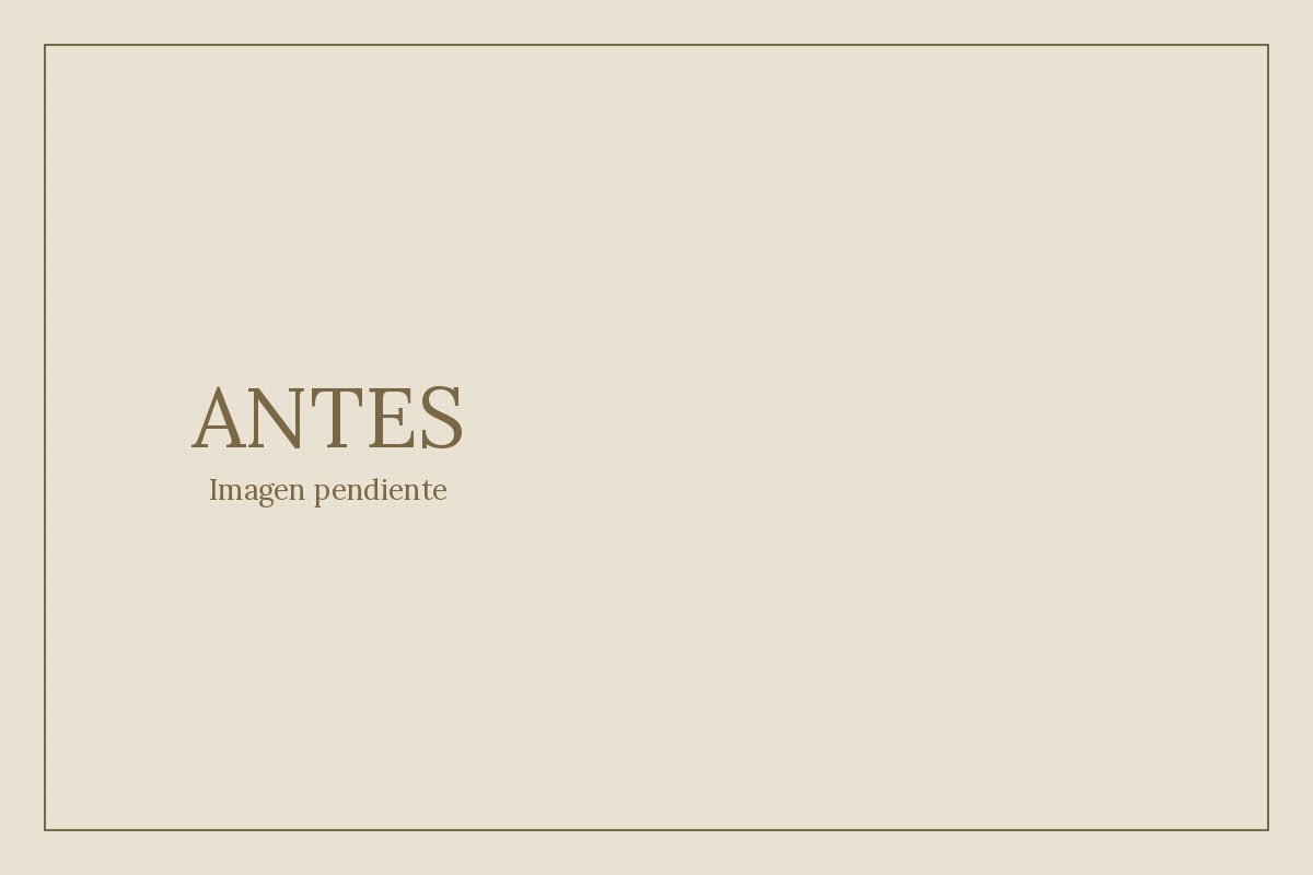 Antes de la intervención (imagen pendiente)